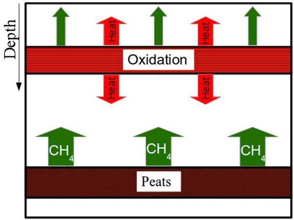 Figura 2: schema del modello concettuale che illustra la produzione e l’ossidazione del metano (CH4) le frecce verdi rappresentano il metano prodotto dai livelli di torba che risale verso la superficie, le frecce rosse indicano la dispersione del calore dal livello superficiale ricco di batteri metanotrofi (da Nespoli et al., 2015).